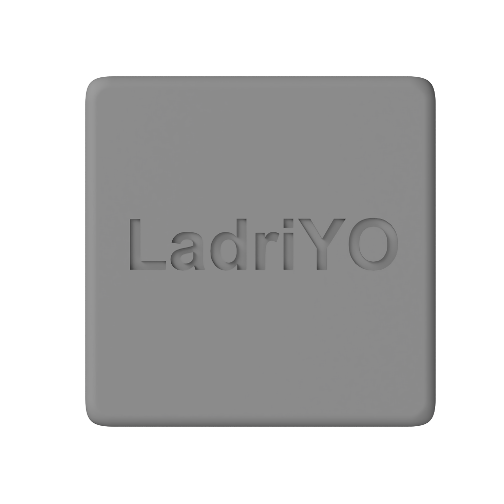 LadriYO vista superior mostrando logo grabado en la carcasa premium
